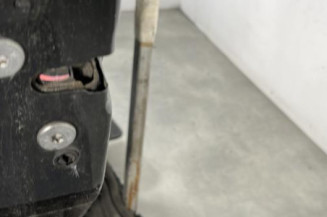 Porte arriere gauche PEUGEOT 207