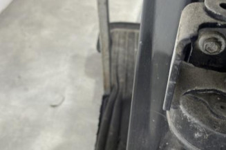 Porte arriere gauche PEUGEOT 207