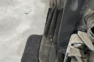 Porte arriere gauche PEUGEOT 207