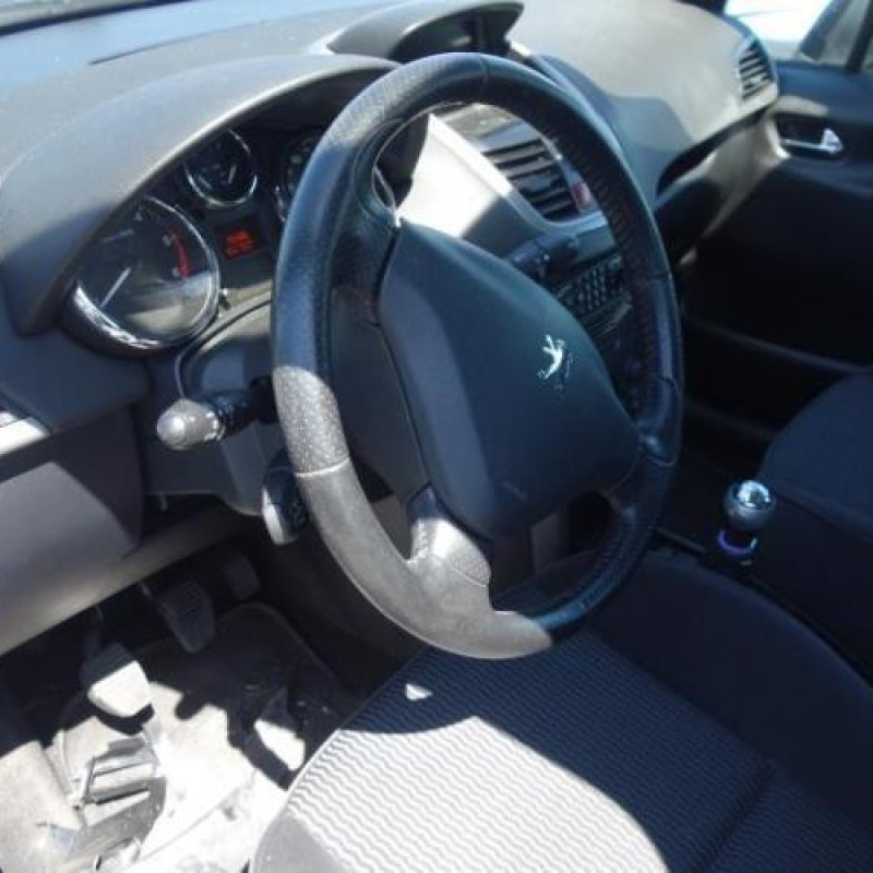 Porte avant gauche PEUGEOT 207 Photo n°7