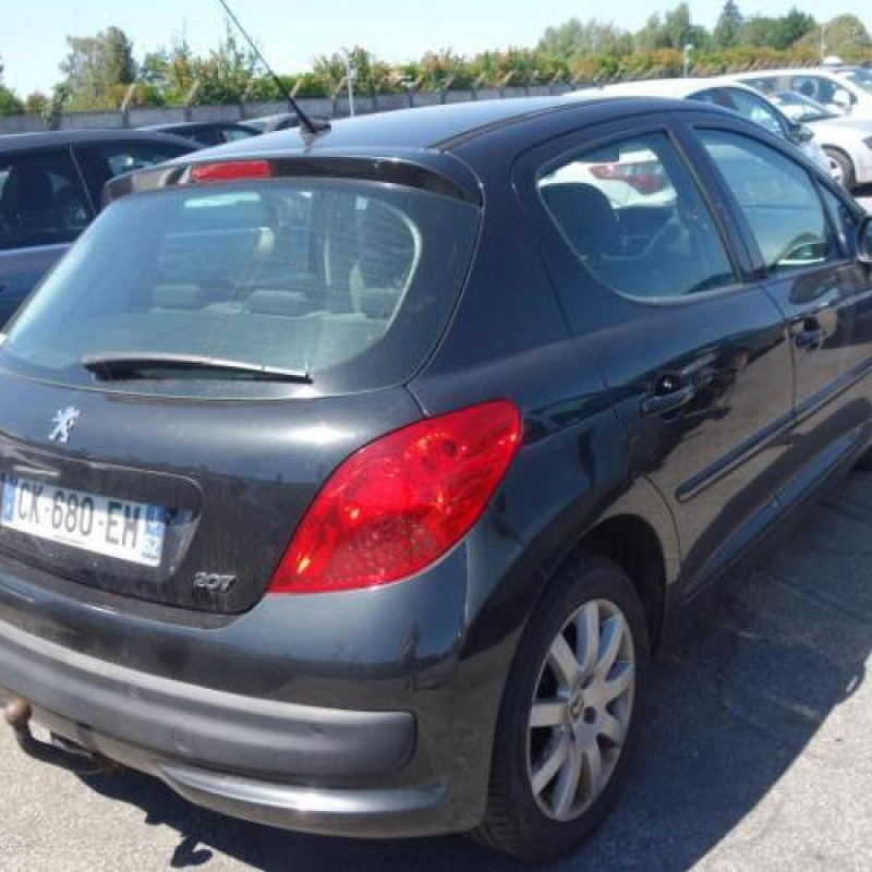Porte avant gauche PEUGEOT 207 Photo n°8