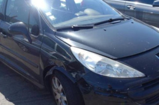 Porte avant gauche PEUGEOT 207