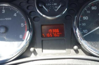 Porte avant gauche PEUGEOT 207