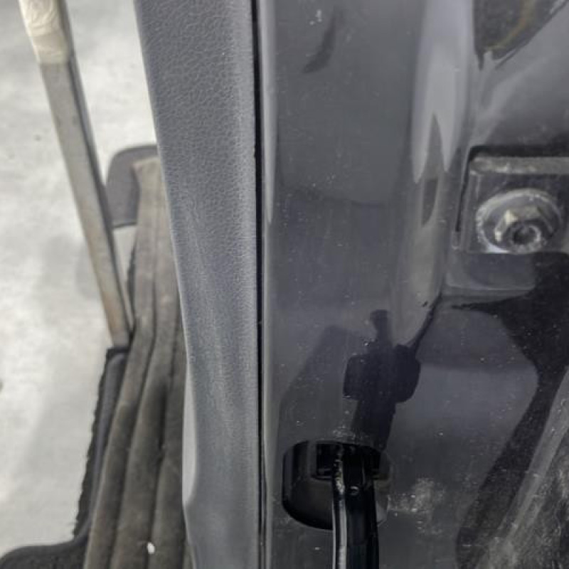 Porte arriere gauche VOLKSWAGEN POLO 5 Photo n°4