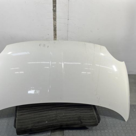 Capot FIAT 500 2 Photo n°1