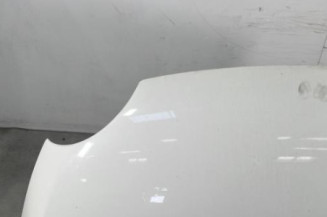 Capot FIAT 500 2