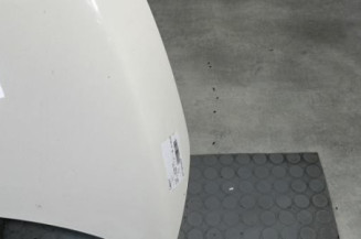 Capot FIAT 500 2