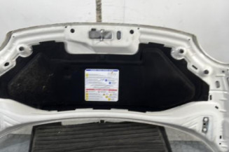 Capot FIAT 500 2