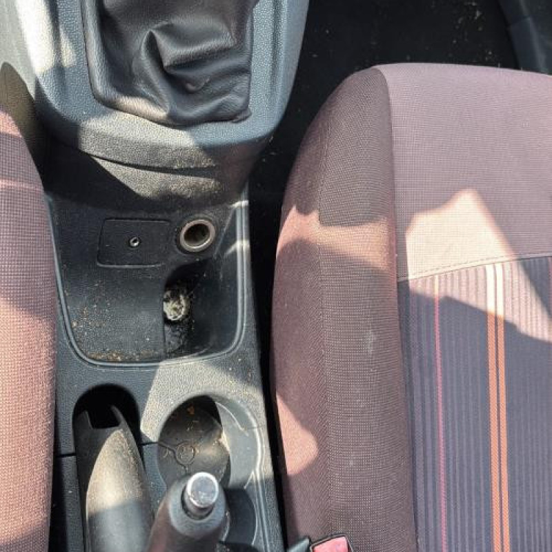 Porte avant droit FORD FIESTA 6 Photo n°18