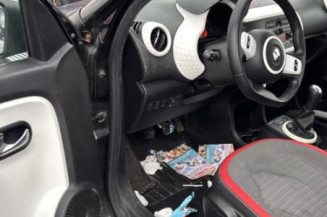 Lunette arriere RENAULT TWINGO 3