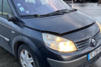 Malle/Hayon arriere RENAULT SCENIC 2