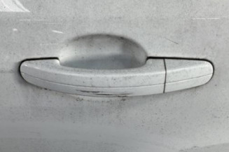 Porte arriere gauche FORD FOCUS 3