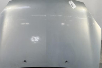 Capot RENAULT CLIO 2 Photo n°1