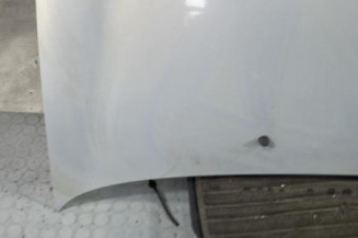 Capot RENAULT CLIO 2