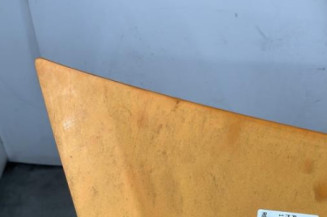 Capot RENAULT MASTER 3