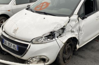 Porte arriere gauche PEUGEOT 208 1 Photo n°1