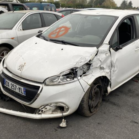Porte arriere gauche PEUGEOT 208 1 Photo n°1