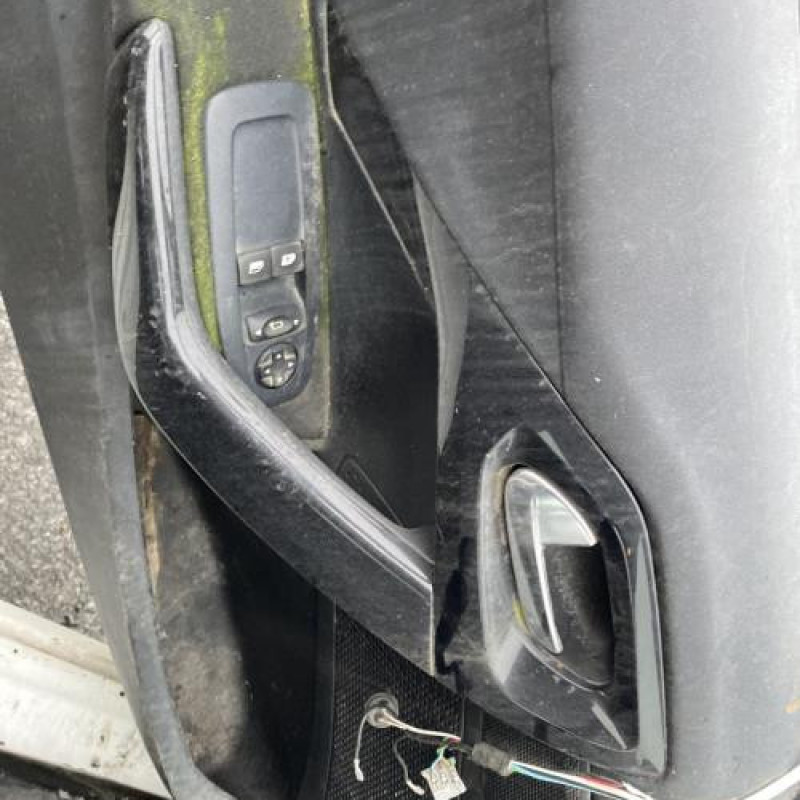 Porte arriere gauche PEUGEOT 208 1 Photo n°10