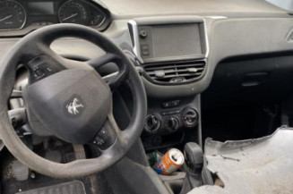 Porte arriere gauche PEUGEOT 208 1