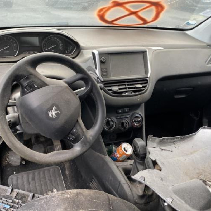 Porte arriere gauche PEUGEOT 208 1 Photo n°13