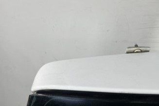 Malle/Hayon arriere CITROEN C3 1