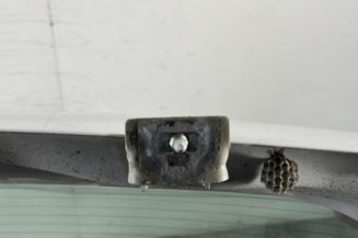 Malle/Hayon arriere CITROEN C3 1