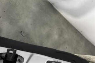 Porte arriere gauche PEUGEOT 208 1