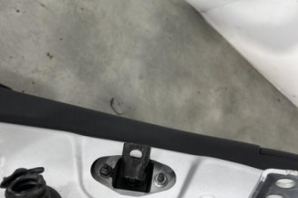 Porte arriere gauche PEUGEOT 208 1