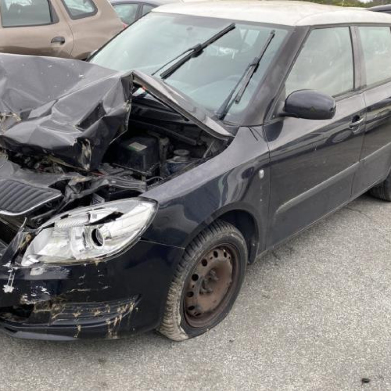 Malle/Hayon arriere SKODA FABIA 2 Photo n°12