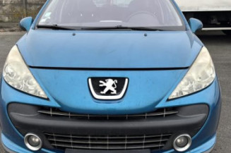 Aile avant gauche PEUGEOT 207