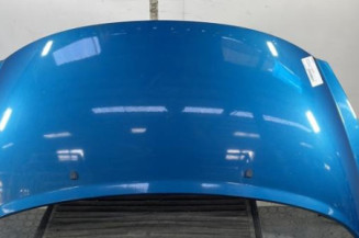 Capot PEUGEOT 207 Photo n°1
