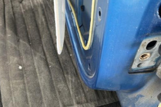 Porte arriere gauche PEUGEOT 207