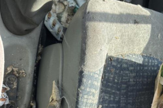 Vitre avant droit RENAULT SCENIC 1
