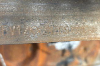 Eclairage de plaque OPEL VIVARO 3