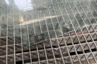 Vitre arriere droit RENAULT CLIO 4
