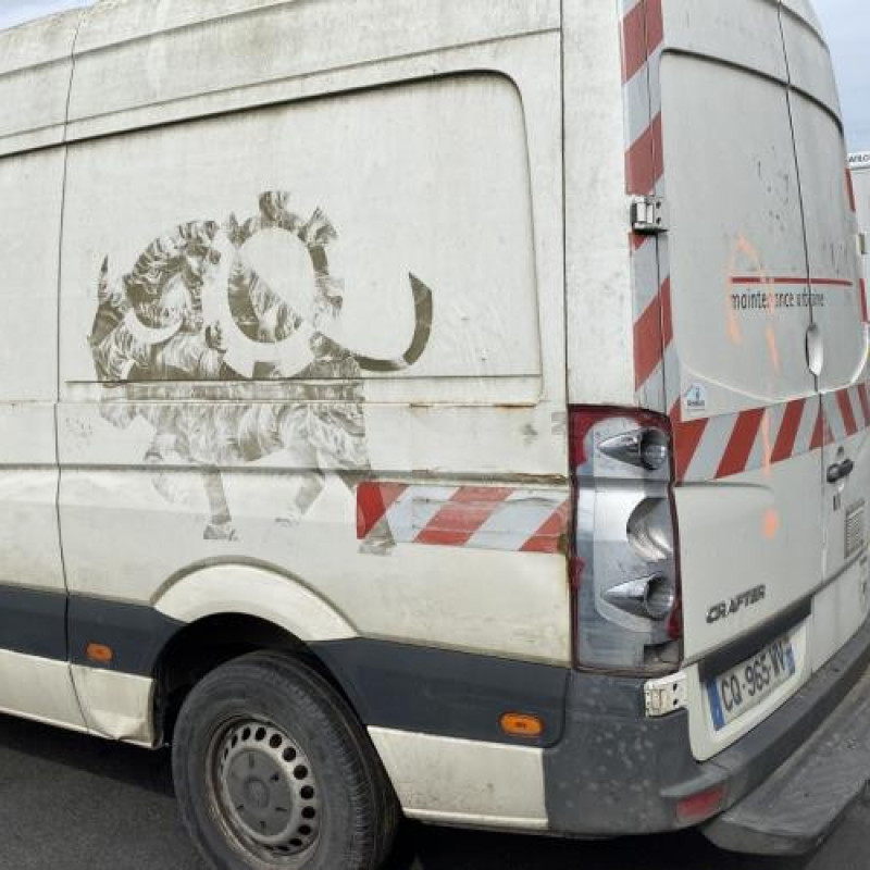 Calandre VOLKSWAGEN CRAFTER 1 Photo n°8