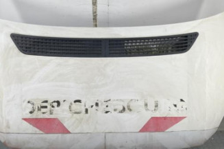 Capot VOLKSWAGEN CRAFTER 1 Photo n°1