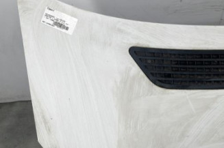 Capot VOLKSWAGEN CRAFTER 1