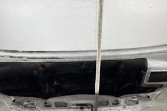 Capot VOLKSWAGEN CRAFTER 1