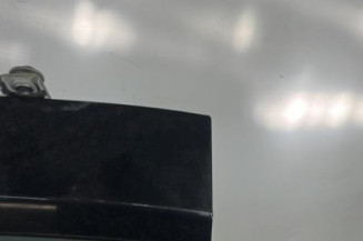 Malle/Hayon arriere RENAULT CLIO 3