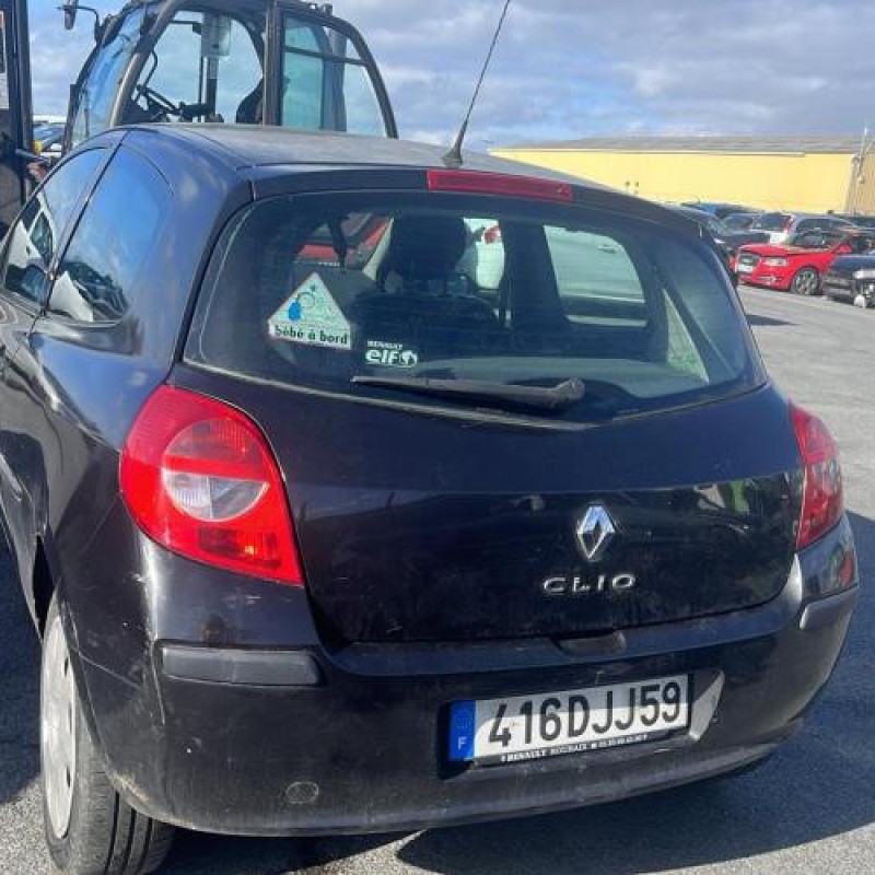 Malle/Hayon arriere RENAULT CLIO 3 Photo n°18