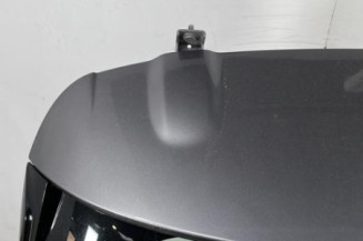 Malle/Hayon arriere RENAULT CLIO 4