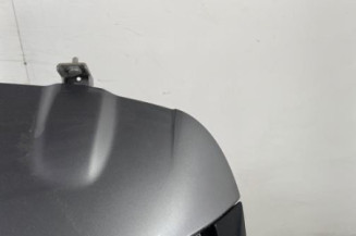 Malle/Hayon arriere RENAULT CLIO 4