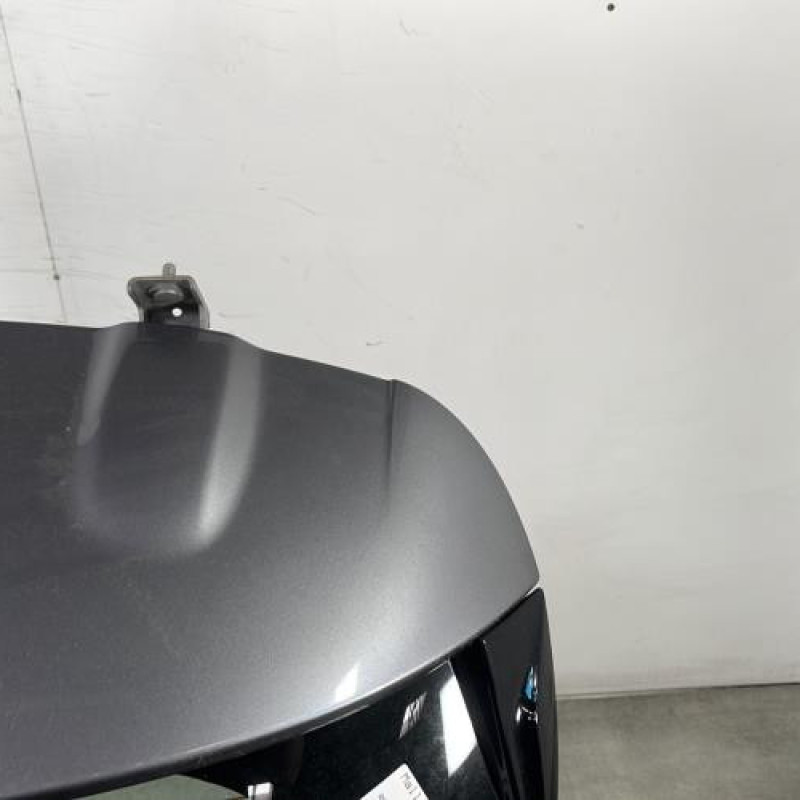 Malle/Hayon arriere RENAULT CLIO 4 Photo n°3