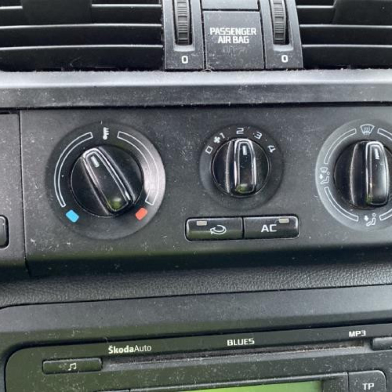 Porte arriere droit SKODA FABIA 2 Photo n°20