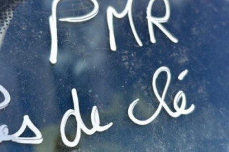 Custode arriere droit (porte) RENAULT CLIO 2