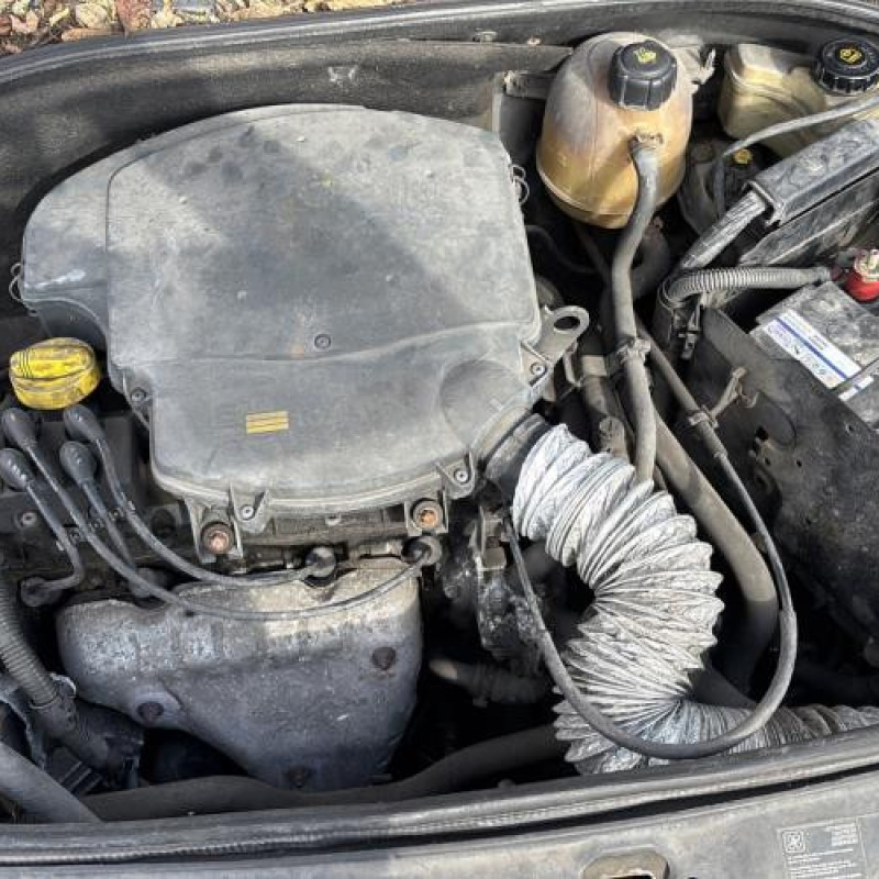 Custode arriere gauche (porte) RENAULT CLIO 2 Photo n°17