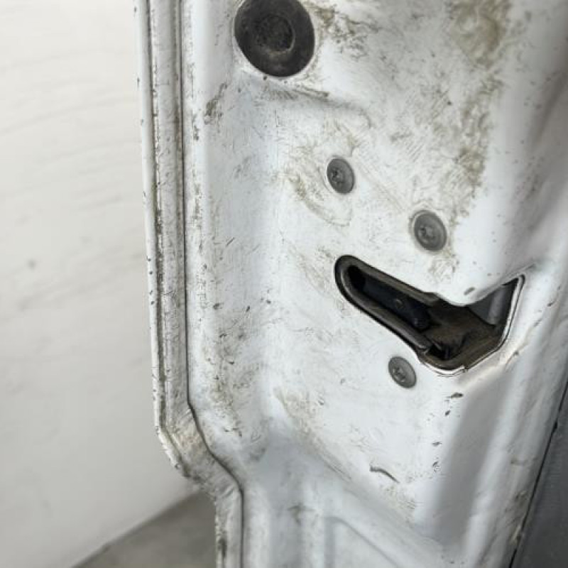 Porte avant gauche VOLKSWAGEN CRAFTER 1 Photo n°4