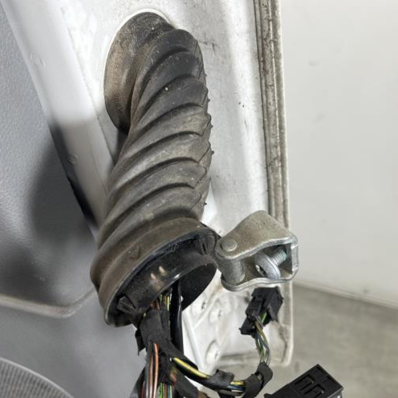 Porte avant gauche VOLKSWAGEN CRAFTER 1 Photo n°6