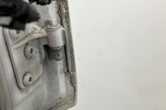 Porte avant gauche VOLKSWAGEN CRAFTER 1